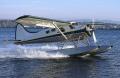 1989 DEHAVILLAND DHC-2 for sale