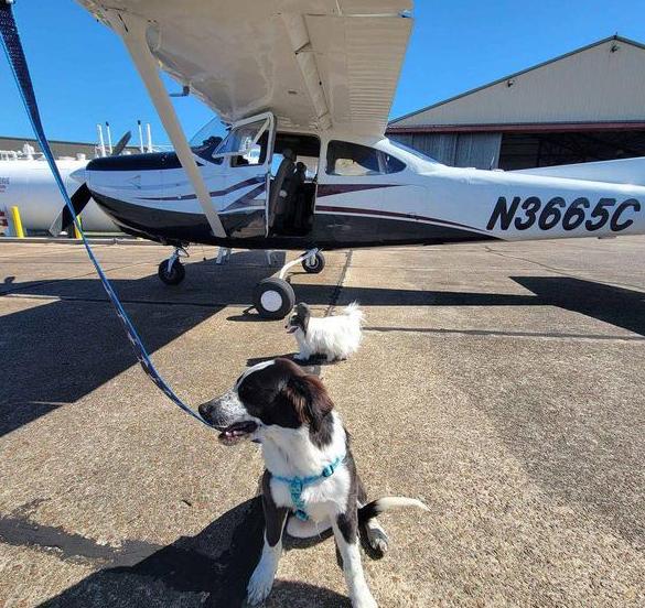 1978 CESSNA R182 RG Photo 7