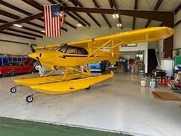 2020 CARBON CUB FX-3 for sale - AircraftDealer.com